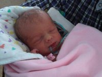 IMG00462-20101008-1144.jpg