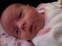 8th march 2010 008.jpg