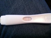 OPK today.jpg