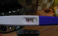 misc nov 2010 016.jpg