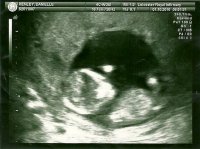 scan0003.jpg