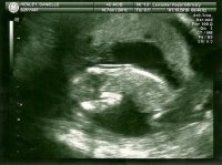 scan0002.jpg