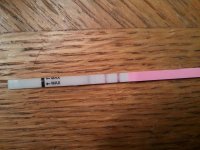 cd14opk.jpg