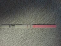 cd14opk1.jpg