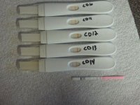 cd14opkprogression.jpg