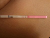 cd15opk.jpg