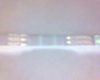 OPK11-13inverted.jpg