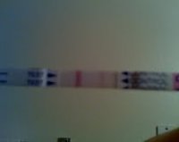 OPK11-14.jpg