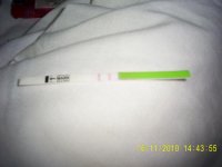 cd16 001.jpg