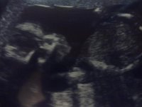 15112010043.jpg