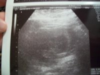 Picture 020.jpg