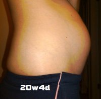 20w4d.jpg