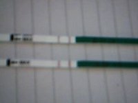 Picture 10.jpg
