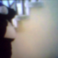 Snapshot of me 10.png