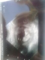 baby10.jpg