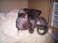 IMG00163-20101114-2039.jpg