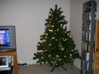 IMGP1114.jpg