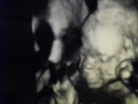 seth 4d scan 016.jpg