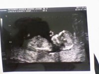 photo 2 Squidge.JPG