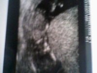 photo 3 Squidge.jpg