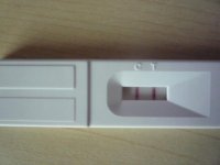 test.jpg