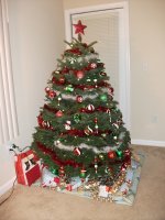 xmas small.jpg