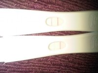 OPK2.jpg