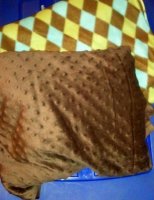 blanket fabric.jpg