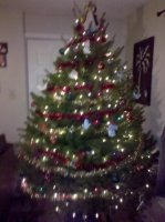 IMG_20101128_172526.jpg