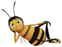 bee.jpg
