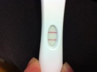 OPK.jpg