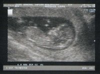 scan2.jpg