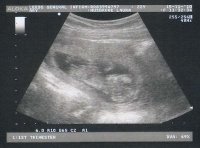 scan3.jpg