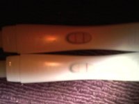 OPK3.jpg