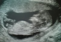 scan 3.jpg