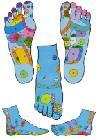 reflexology.png