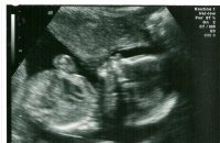 scan0001.jpg