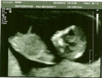 12Wks3.jpg