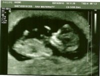 12Wks2.jpg