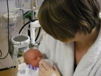 Baby of  Sarah Vidler 2.jpg