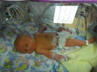 Baby of  Sarah Vidler.jpg