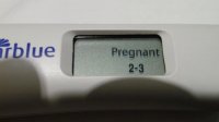 CBD 4.12.10 at 13dpo.jpg