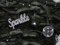 sparkle.jpg