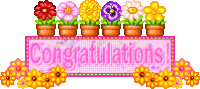 congrats.gif