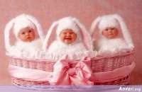 Easter_Babies.jpg