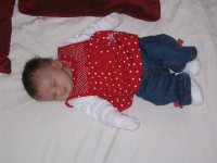 IMG_2407.jpg
