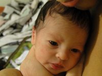 DSC01946(a).jpg