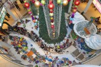 Christmas Tree at Lakeside.jpg