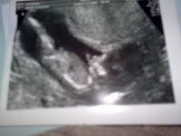 23102010966.jpg