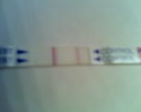 opk1216.jpg